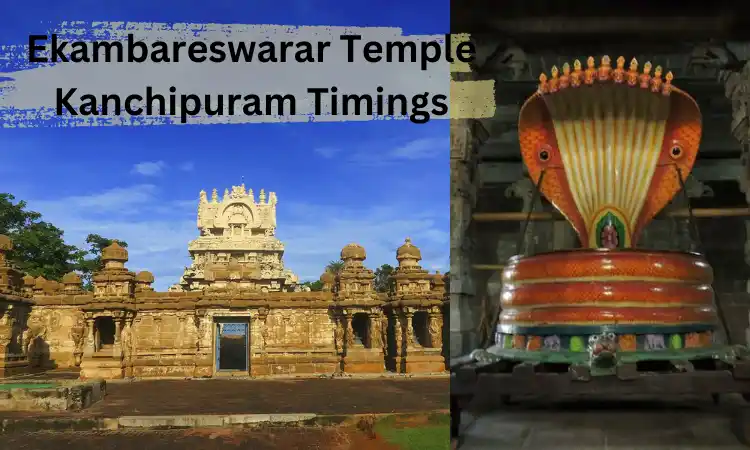 Ekambareswarar Temple Kanchipuram Timings