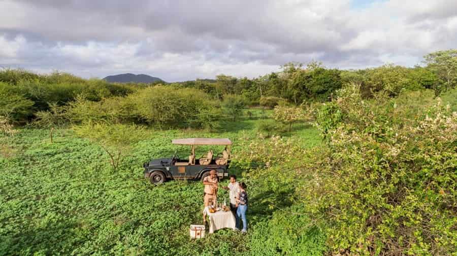 Gir National Park Tour by Helicopter