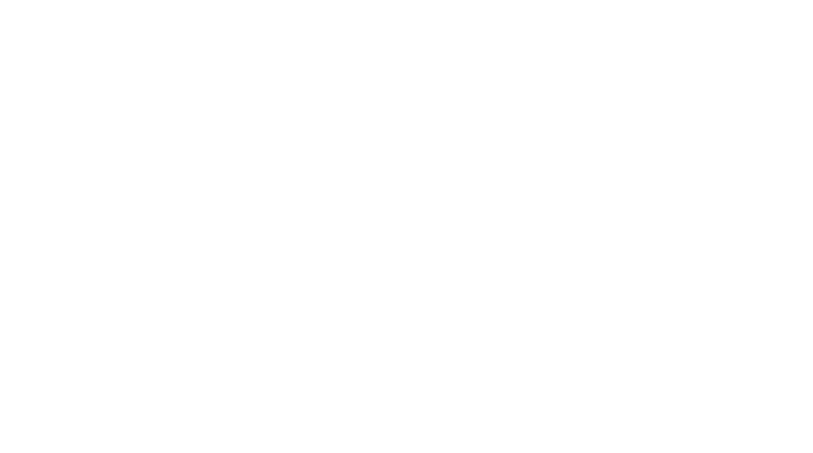Udan Aviation